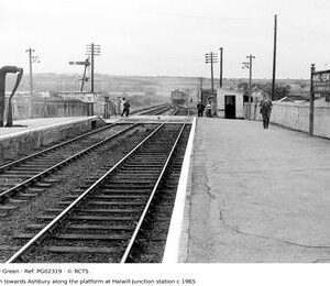 PG02319