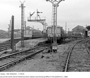 PG02321