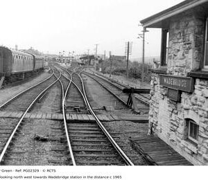 PG02329