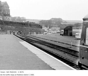 PG02335