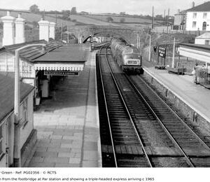PG02356