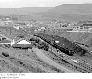 PG02376