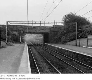 PG02406