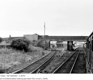 PG02407
