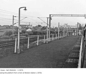 PG02421