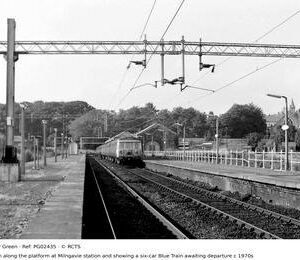 PG02435