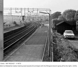 PG02437
