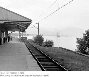 PG02439