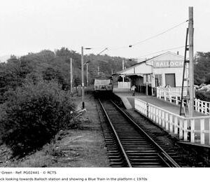 PG02441
