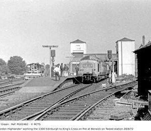 PG02462
