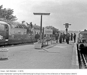 PG02463