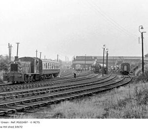 PG02497