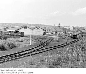 PG02503