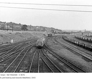 PG02509