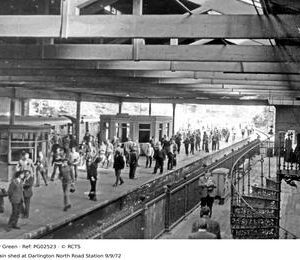 PG02523