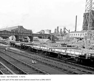 PG02529