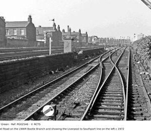 PG02546