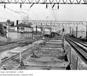 PG02557