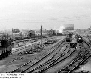 PG02565