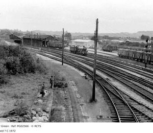 PG02566