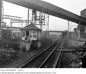 PG02597