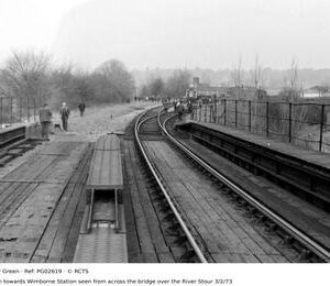 PG02619