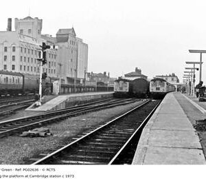 PG02636