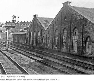 PG02663
