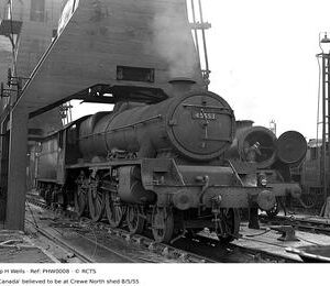 PHW0008