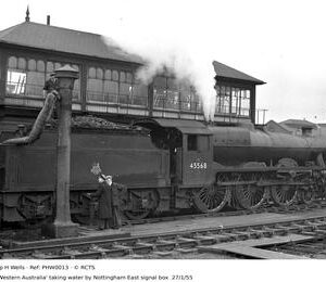 PHW0013