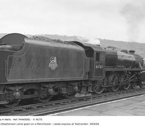 PHW0081