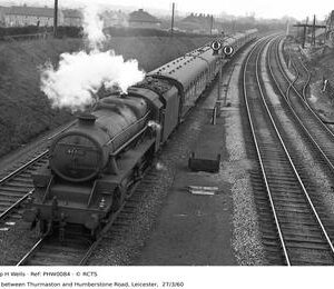 PHW0084