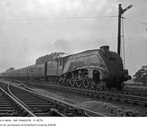 PHW0278