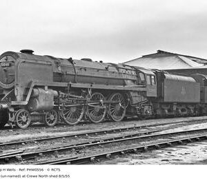 PHW0556