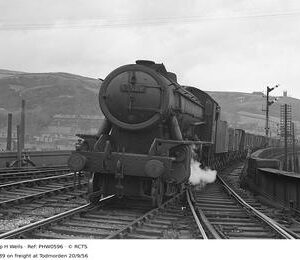 PHW0596