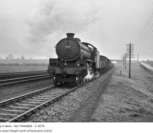 PHW0808