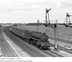 PHW0815