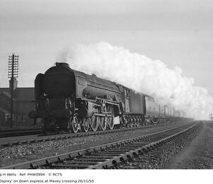 PHW0994