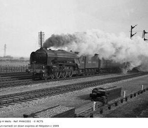 PHW1001