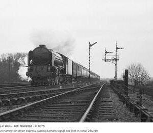 PHW1003