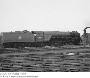 PHW1010
