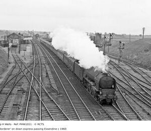 PHW1011