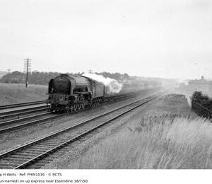 PHW1016