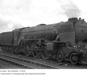 PHW1018