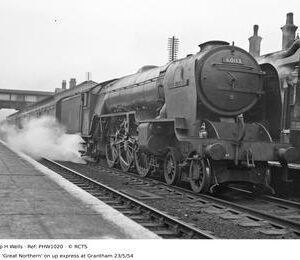 PHW1020