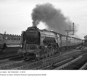 PHW1028