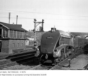 PHW1101