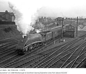 PHW1106