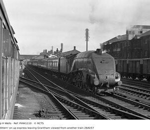 PHW1110