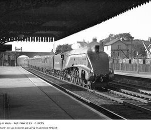 PHW1113